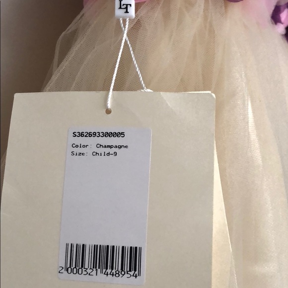 NWT. A-line floor length flower girl dress - Picture 5 of 7